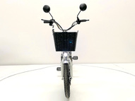 Электровелосипед GreenCamel Транк 18 V8 PRO (R18 250W 60V 20Ah)