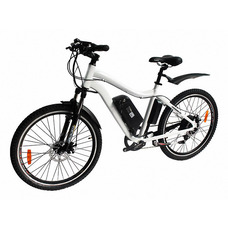 El-sport bike TDE-10 350W