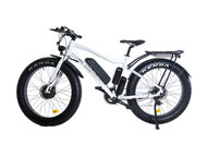 Электрофэтбайк E-motions FAT 26 Double 2 Электрофэтбайк E-motions FAT 26 Double 2