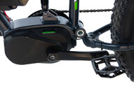 Электрофэтбайк E-motions Cougar Torque