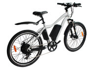 Электровелосипед El-sport bike TDE-10 350W