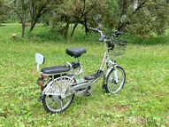 Электровелосипед GreenCamel Транк 20 V8 (R20 250W 60V 10Ah)