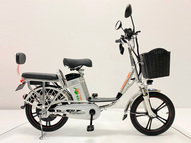 Электровелосипед GreenCamel Транк 18 V8 (R18 250W 60V 10Ah)