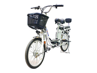 Электровелосипед GreenCamel Транк-20 V2 (R20 250W) [без АКБ]