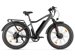 Eltreco BigCat Dual Next (черный матовый)