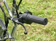 Электровелосипед GreenCamel Транк 20 V8 PRO (R20 250W 60V 10Ah)