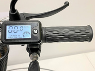 Электровелосипед GreenCamel Транк 18 V8 PRO (R18 250W 60V 20Ah)