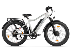 Eltreco BigCat Dual Next PRO (серебристый матовый) Eltreco BigCat Dual Next PRO (серебристый матовый)