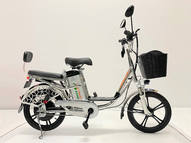 Электровелосипед GreenCamel Транк 18 V8 PRO (R18 250W 60V 20Ah)