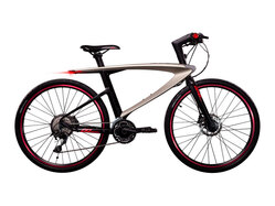 LeEco Le Super Bike Stahly