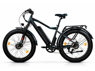 Электрофэтбайк Eltreco BigCat Dual Next PRO (черный матовый)