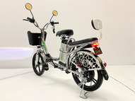 Электровелосипед GreenCamel Транк 18 V8 PRO (R18 250W 60V 20Ah)