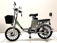 Электровелосипед GreenCamel Транк 20 V8 PRO (R20 250W 60V 10Ah)