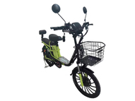 Электровелосипед Elbike Largo D12 (Дача)