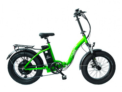 Elbike Taiga 1 St (Зеленый) Elbike Taiga 1 St (Зеленый)