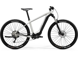 Merida eBig.Nine 400