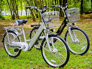 Электровелосипед E-motions Dacha (Дача) 350w Li-ion