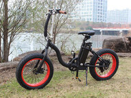 Электрофэтбайк El-sport bike TDN-01 500W