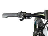 Электровелосипед Horza Stels Adrenalin D-1000 Travel