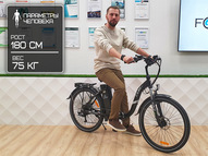 Электровелосипед Elbike Galant Big VIP 13 (Зеленый)