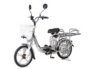 Электровелосипед Delivery Line V60 (12Ah 60V 500W, 18 дюймов)