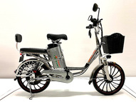 Электровелосипед GreenCamel Транк 20 V8 PRO (R20 250W 60V 10Ah)