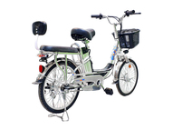 Электровелосипед GreenCamel Транк-20 V2 (R20 250W) [без АКБ]