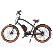 LEISGER CD5 CRUISER