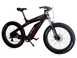 GreenCamel Kontax (750W Bafang 48V LG 13Ah)