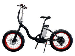 El-sport bike TDN-01 500W El-sport bike TDN-01 500W