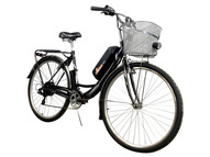 Электровелосипед Horza Stels Dacha 350