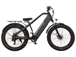 Slon 500w