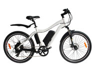 Электровелосипед El-sport bike TDE-10 350W