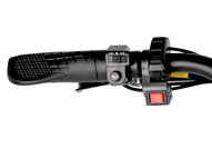 Электрофэтбайк Eltreco BigCat Dual Next PRO (черный матовый)