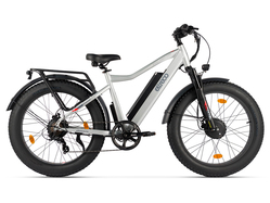 Eltreco BigCat Dual Next (серебристый матовый)