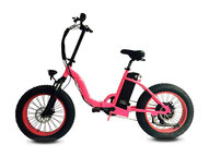 Электрофэтбайк El-sport bike TDN-01 500W