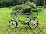 Электровелосипед GreenCamel Транк 20 V8 (R20 250W 60V 10Ah)