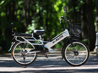 Электровелосипед Green City e-ALFA L с кофром