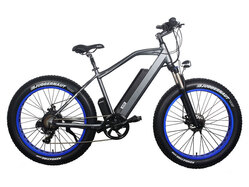 El-sport bike TDE-08 500W