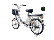 Электровелосипед GreenCamel Транк-20 V2 (R20 250W) [без АКБ]