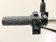 Электровелосипед GreenCamel Транк 18 V8 PRO (R18 250W 60V 20Ah)