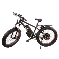 Elbike Phantom