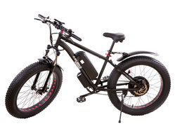 Elbike Phantom