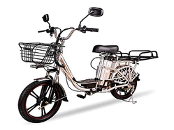 Motax E-NOT Express Lux 6013 K