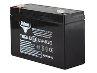 Тяговый аккумулятор RuTrike TNG6-12 (6V12A/H C20)